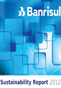 Sustainability Report 2012
