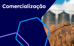 <p>Crédito para estocagem</p>