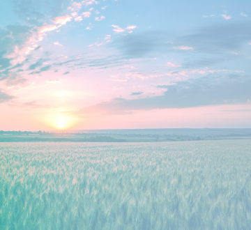 imagem de paisagem do campo