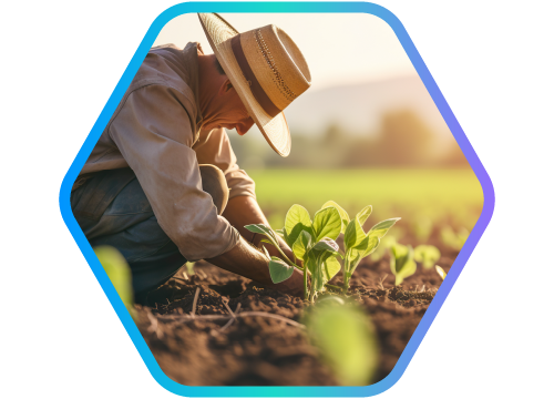 senhor agachado plantando uma muda